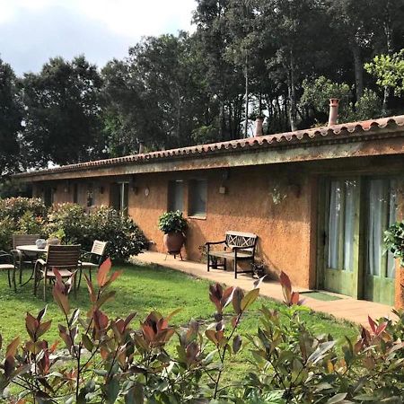 Aurora 2-Bed Cottage - Sleeps 4 - Montseny Park Arbúcies Esterno foto