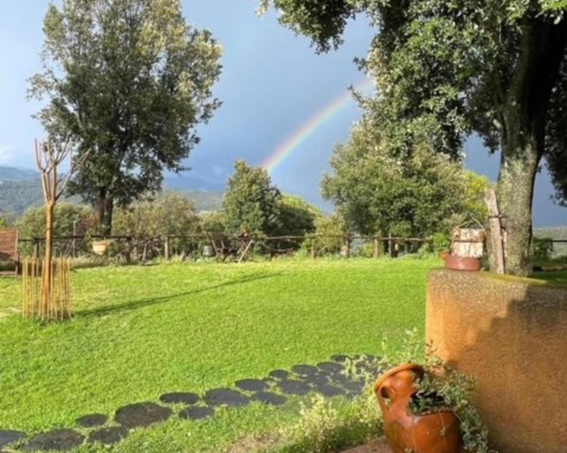 Aurora 2-Bed Cottage - Sleeps 4 - Montseny Park Arbúcies Esterno foto