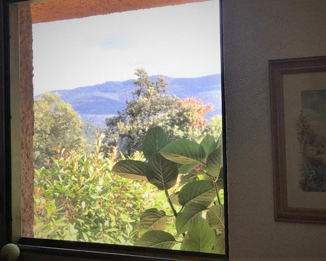 Aurora 2-Bed Cottage - Sleeps 4 - Montseny Park Arbúcies Esterno foto